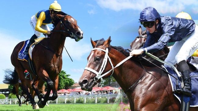 Storm Boy and Switzerland will clash in the most anticipated Golden Slipper showdown in 50 years Golden Slipper