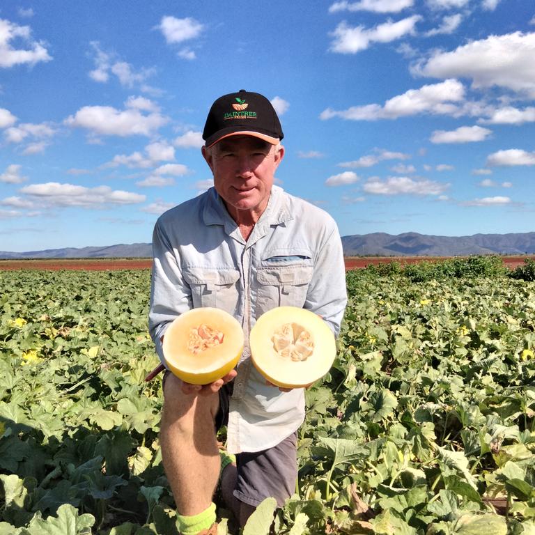 Shaun Jackson of Daintree Fresh at Lakeland, with specialty melons that will be exported to Japan. Picture: supplied.