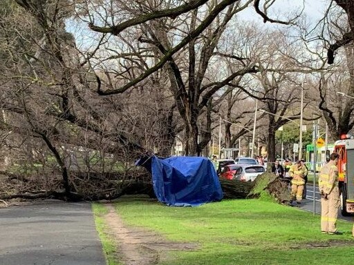 Professor Milner was rushed to hospital but couldn’t be saved. Source: ABC