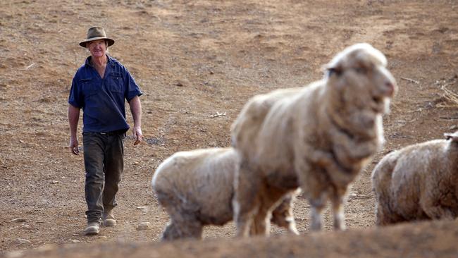 Farmers struggling through the drought could get some much-needed rain. Picture: Sam Ruttyn