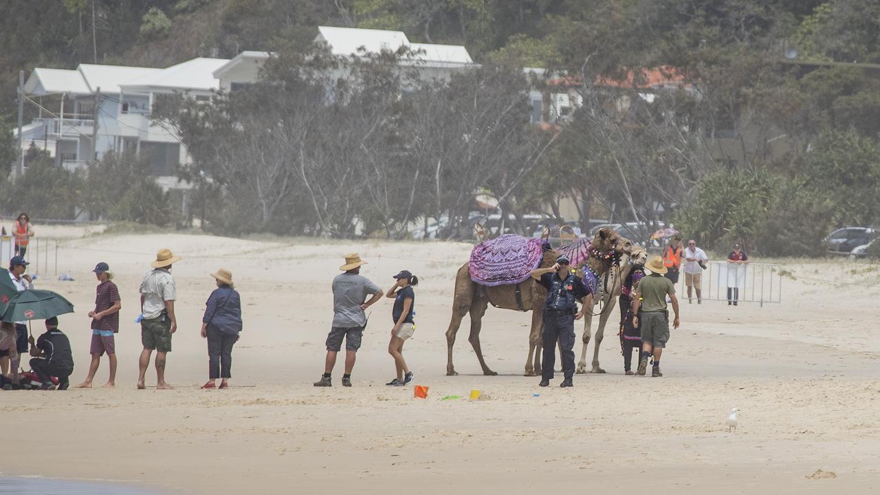 The set of the Aquaman at Currumbin Alley Beach, Gold Coast. Picture: Jerad Williams