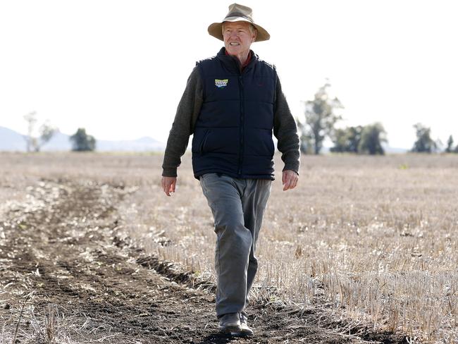 Pictured at his Grain Farm in Mullaley today is Xavier Martin, who is also the NSW Farmers Association President. Picture: Tim Hunter.