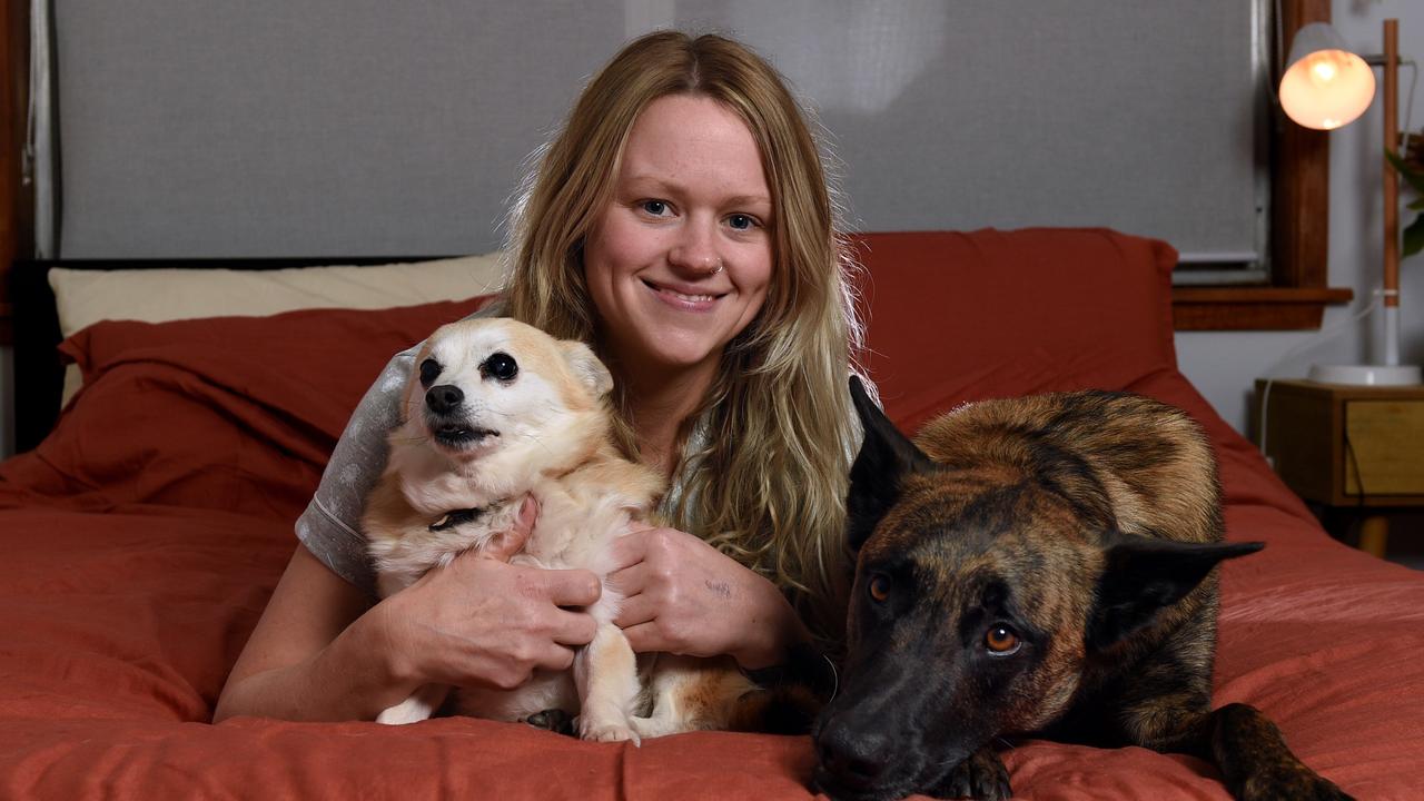 Australian Dog Owner Habits: Majority Of Dog Owners Sleep With Their 