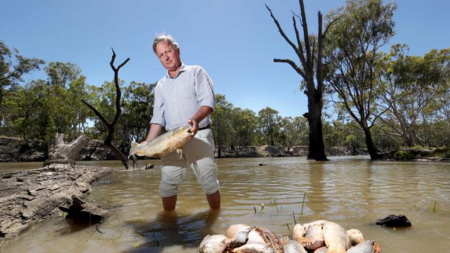 08/01/2018 Carp killer, Harold Clapham is doing well by doing good. His Deniliquin company Charlie Carp turns the revolting invasive carp fish that are ruining the rivers and creeks in the vast Murray Darling system into garden fertiliser Picture David Geraghty / The Australian.