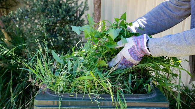 Green waste goes in the bin with the green lid.