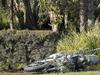 Motorcyclist feared dead after crash in Brisbane’s north