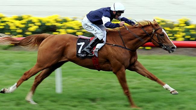  Moonee Valley races. Race 8. Darren Gauci wins on Akzar in the Baulderstone Handicap. 