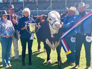 CHAMP: The Ekka Grand Champion Hereford Bull, Advance N142 with Isaac Billiau and Tom Nixon (end right) from Devon Court Beef, Drillham. Picture: Contributed