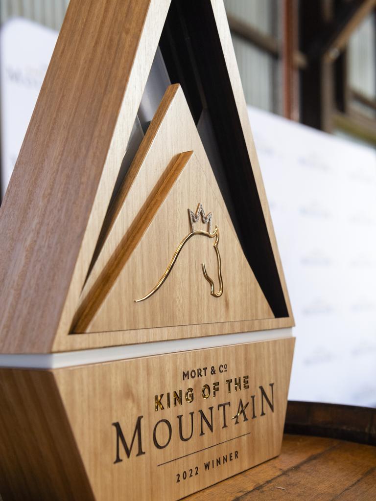 The Mort and Co King of the Mountain trophy made by Hogans and Potato Press is shown at the slot holder draw luncheon, Friday, October 7, 2022. Picture: Kevin Farmer