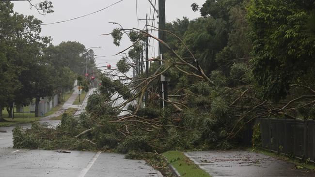 A tree down in Musgrave Ave Southport. Picture Glenn Hampson