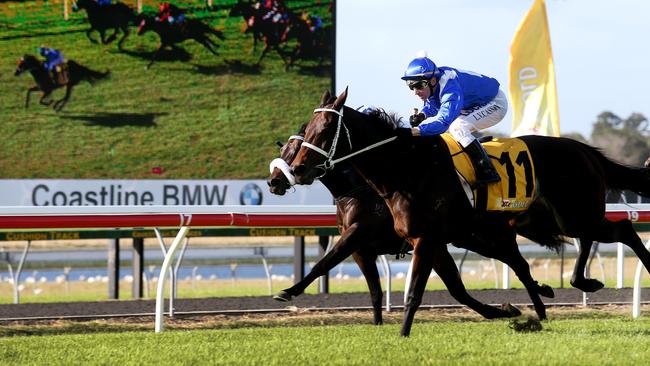 Winx came from an “impossible position” to win the Sunshine Coast Guineas. Picture: Tara Croser