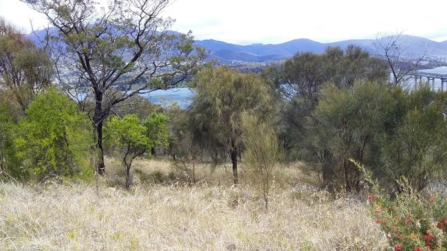 Rosny Hill is the site of a proposed development by architect, Robert Morris-Nunn. Picture: BETH REES