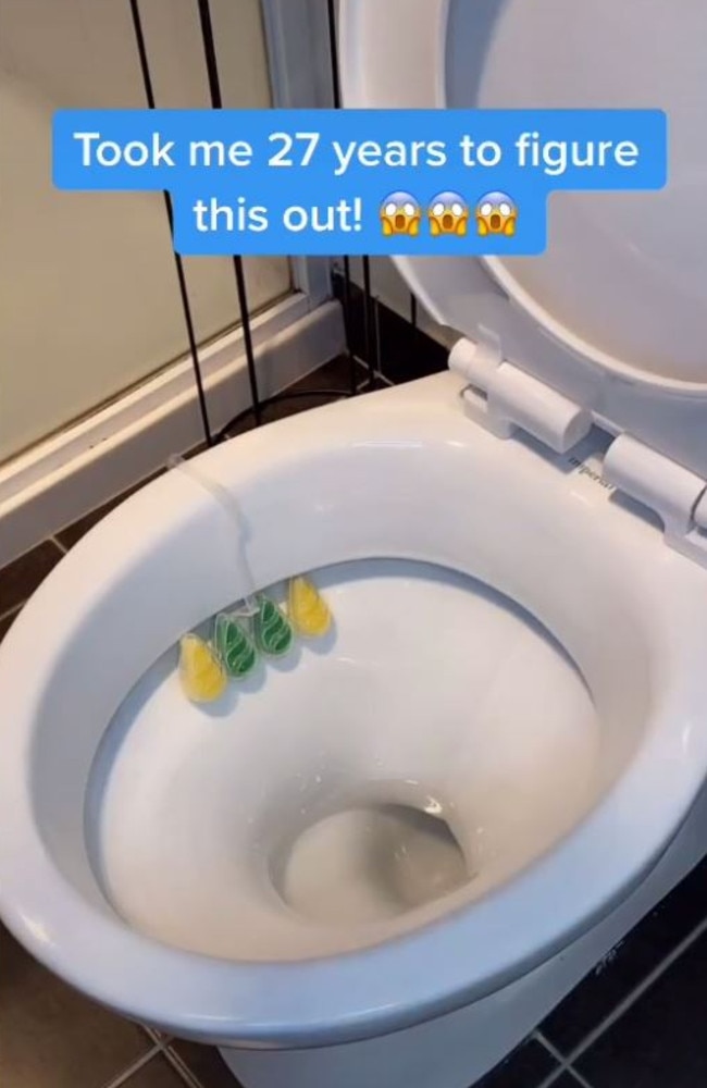 Correct way to use toilet cleaner according to viral TikTok video