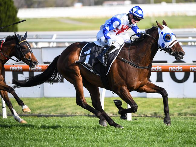 Mr Quickie won the Toorak Handicap at Caulfield. (Photos via Getty Images)