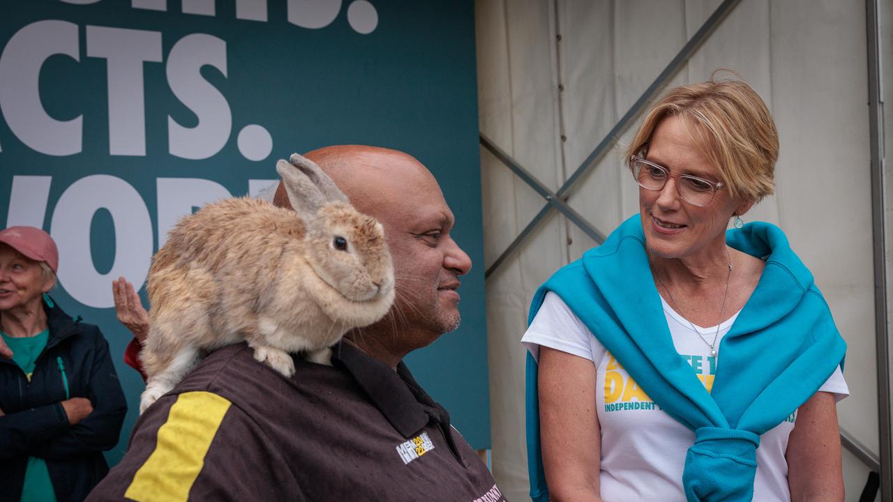 Independent federal member for Goldstein Zoe Daniel MP is up against Liberal candidate Tim Wilson. Picture: NewsWire/ Nadir Kinani