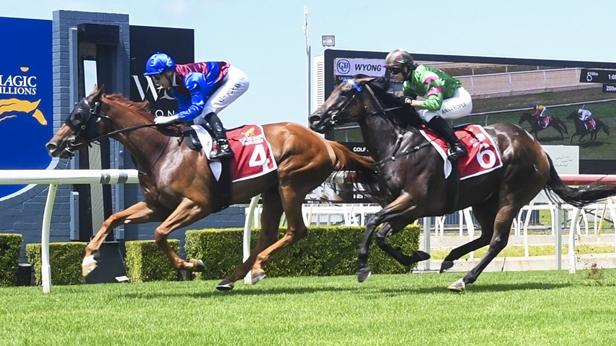 Veravino finishing second to Reasonable at Wyong on Australia Day. Picture: Bradley Photos