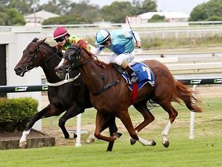 QLD_CM_SPORT_DOOMBENRACEPICS_23JAN16