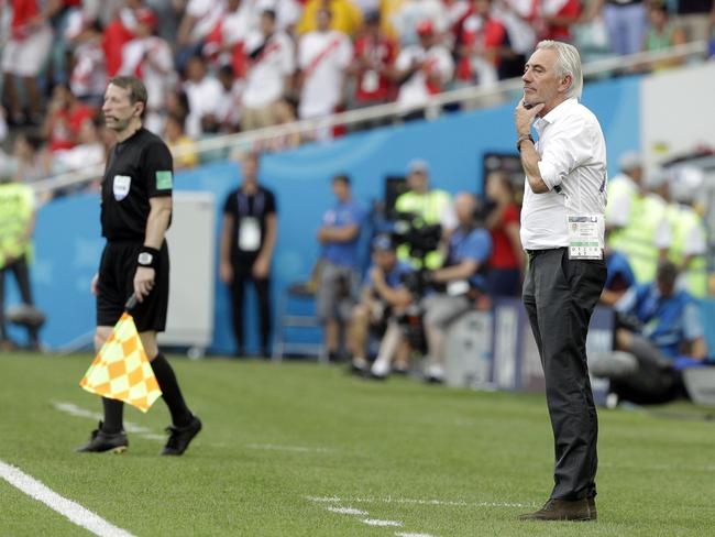 Bert van Marwijk’s tactics and personnel use have come under scrutiny. Pic: AP