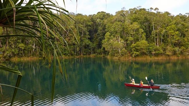 Lake Eacham and its beautiful surrounds is home to freshwater crocs. Picture: Maxime Coquard