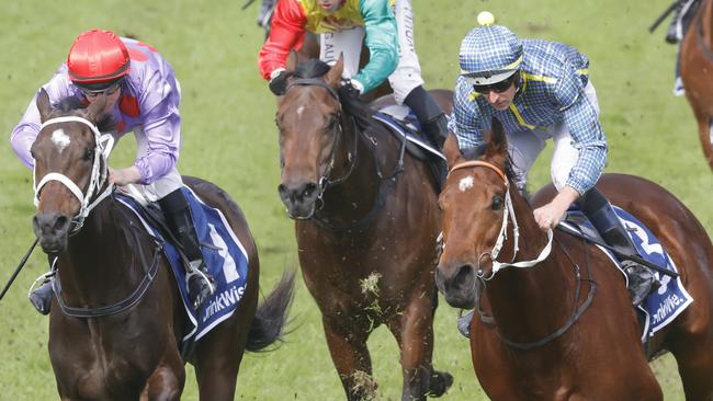 Flag Of Honour (right) will appreciate the step up in distance in the Dulcify Stakes. Picture: Getty Images