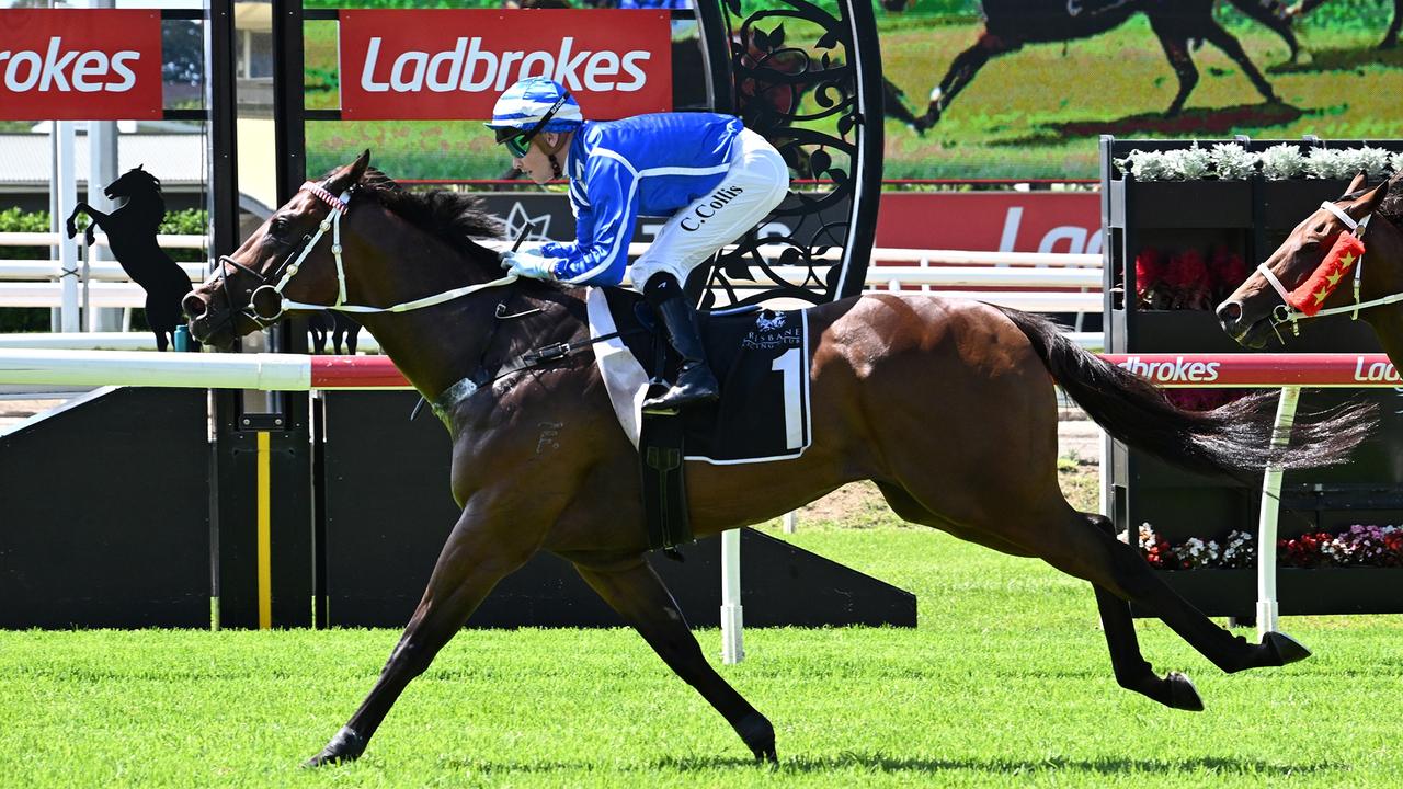 Steady Ready scores at the Eagle Farm meeting on Saturday. Picture: Grant Peters / Trackside Photography