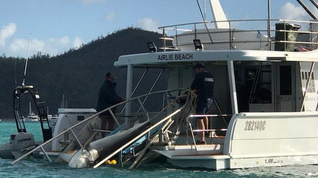 Authorities haul in a tiger shark from Cid Harbour after catching in drum lines.