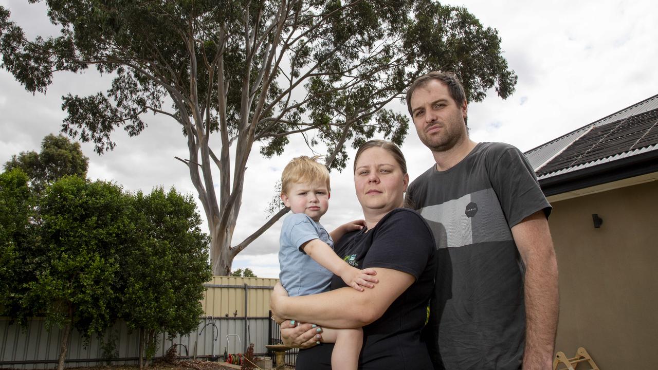 Veronica Presley and Matthew Lukat with son Kaleb, and the tree in the background. Picture: Brett Hartwig