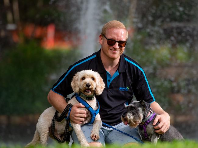 The Million Paws Walk is happening this weekend at the George Brown Botanic Gardens, Darwin. Chair of RSPCA Darwin Board Danny Moore with Molly and Buddy (white) is excited to be hosting the event at a new site.Picture: Che Chorley