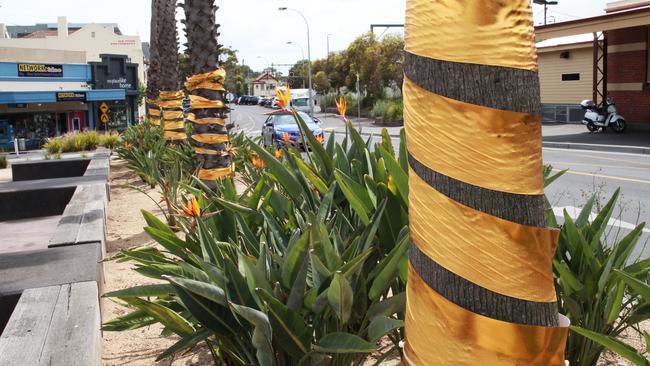 Trees in Sandringham have been wrapped with gold paper, held on with cable ties.