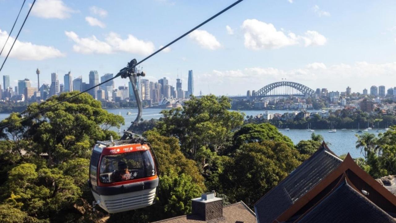 Rumble in Sydney jungle: Warring zoos lock horns over cable cars