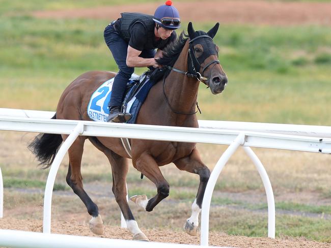 Fastnet Tempest at Werribee racecourse on Sunday. Picture: AAP