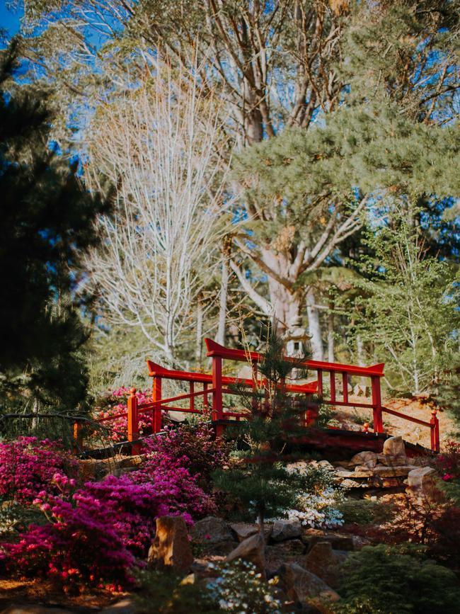 Japanese-inspired bridge in Dennarque’s oriental garden.