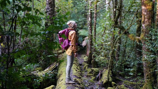 Local tourism operator Fiona Weaver was up at Growling Swallet when she heard Sustainable Timber Sustainable planned to close Styx Rd for weeks, blocking visitor access and a vital source of income for Tassie Bound Adventure Tours and others. Picture: PERSIA SHAKARI