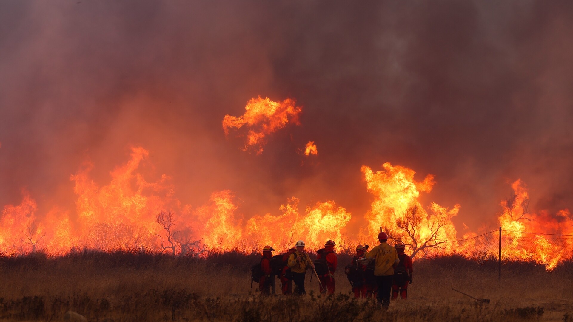 LA wildfire burning through 12 hectares of land per minute