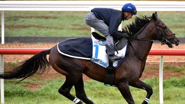 International racehorses working at the Werribee International Horse Centre. Zac Purton works Fame Game. Picture Jay Town.