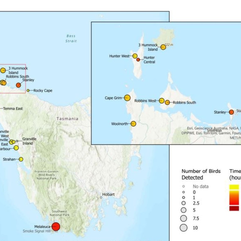 Bird detection location and times from Orange-bellied Parrot Migration Tracking INTERIM REPORT 2024. Picture: Department of Natural Resources and Environment Tasmania