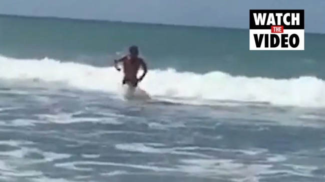 Terrifying moment swimmer escapes sharks