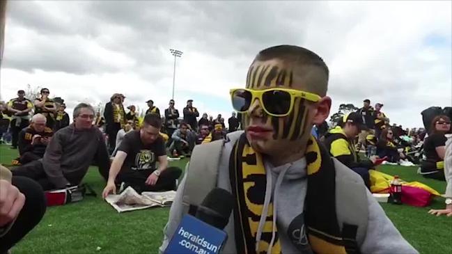 Tigers fans celebrate win