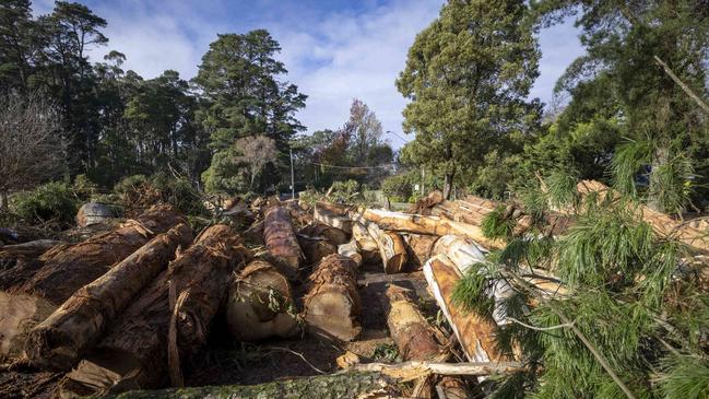 The aftermath of the June 9 storm that smashed the Dandenong Ranges. Up to 25,000 trees were felled across the region including in Kalorama. Picture: NCA NewsWire / Wayne Taylor