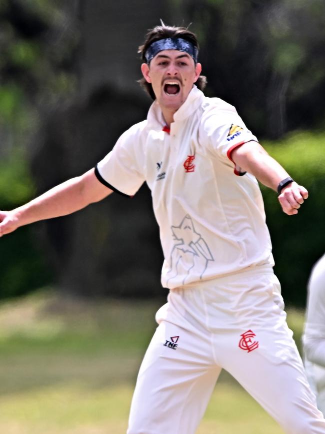 Cam McClure celebrates a wicket. Picture: Andy Brownbill