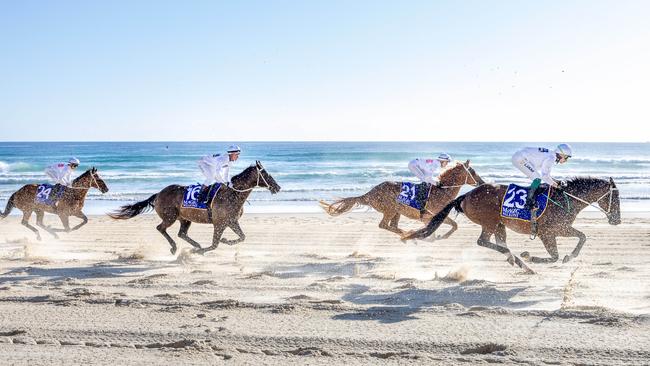 Horses run along the Surfers Paradise shore during the Magic Millions beach run on Tuesday. Picture: Luke Marsden