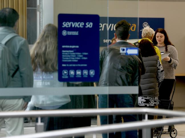 ADELAIDE, AUSTRALIA - NewsWire Photos September 28, 2022:Queues in Adelaide for new drivers licences after the Optus breach earlier this week. Picture: NCA NewsWire / Naomi Jellicoe