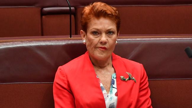 Senator Pauline Hanson. Picture: Sam Mooy/Getty Images