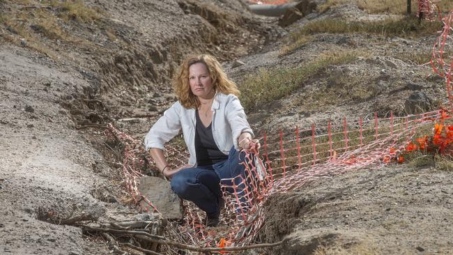 Sally Ryan at Spavin Lake, which she says has been declining for years. Picture: Rob Leeson