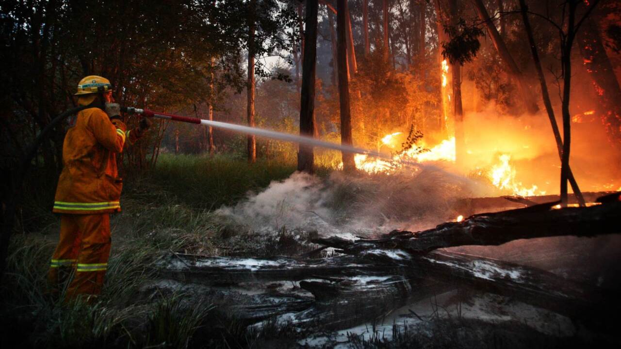 Qld weather conditions to elevate fire danger to very high