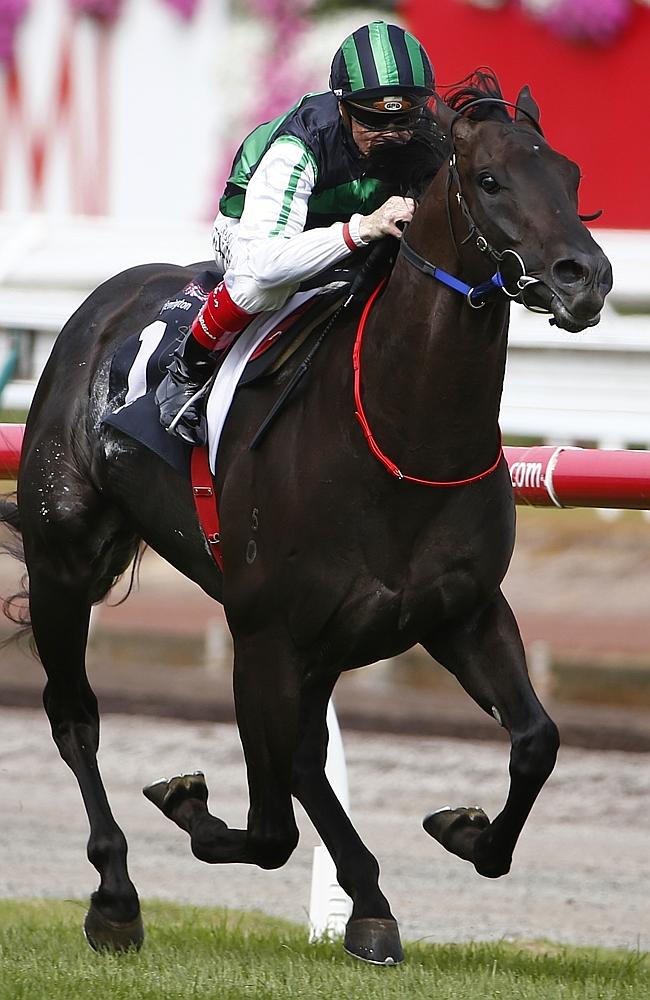 Australian Guineas winner Shamus Award is a big chance in the Rosehill Guineas. Picture: Michael Klein