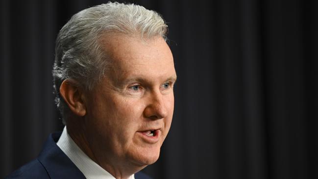 Tony Burke says ‘I’m yet to meet the economist who believes union logos on stickers and safety signs have an impact on inflation’. Picture: AAP