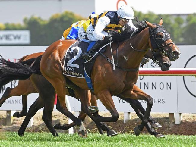 New Zealand galloper Mark Twain winning at Te Rapa, February 10, 2024. Picture:  Kenton Wright/Race Images