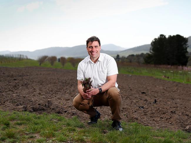 Coal River Farm Daniel Leesong will need to fork out $24,000 in redundancy costs after failing to prove his business was in dire straits following the COVID-19 downturn. Picture: SAM ROSEWARNE.