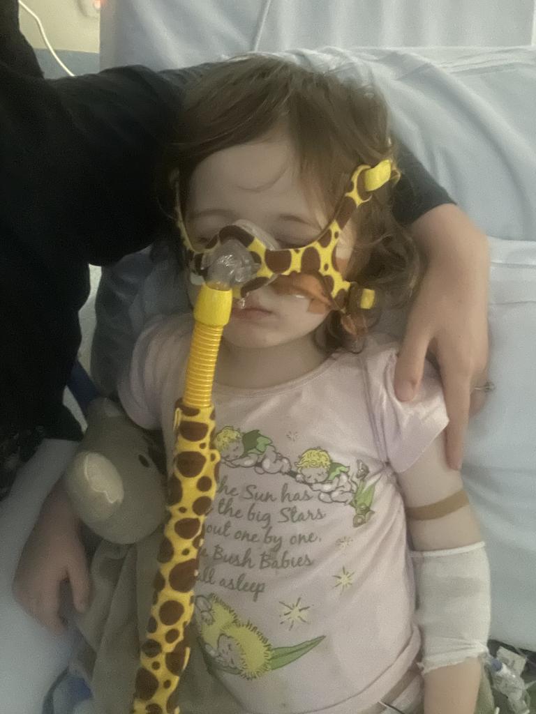 Aria’s condition deteriorated rapidly. Picture: Supplied